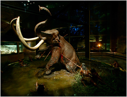 Cazería del mamut