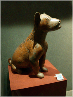 Perro de Occidente